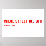 chloe Street  Posters