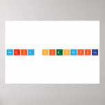 Feria Cientifica  Posters