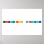 PROGRAMACION DIDACTICA  Posters