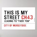 This is my  street  Posters