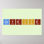 CAYDIID  Posters