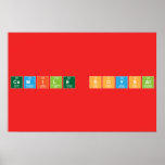 Cemile SOYSAL  Posters