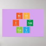 Bro
 I am
 Gay  Posters