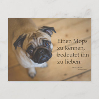 Postkarte "Einen Mops zu kennen .... Postcard