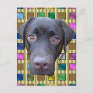 Postkarte Labrador Jimmy Postcard