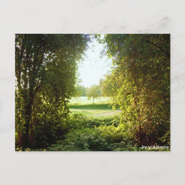 Postkarte - Laubfenster Postcard (Front)