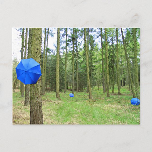 Postkarte - neulich im Wald Postcard (Front)