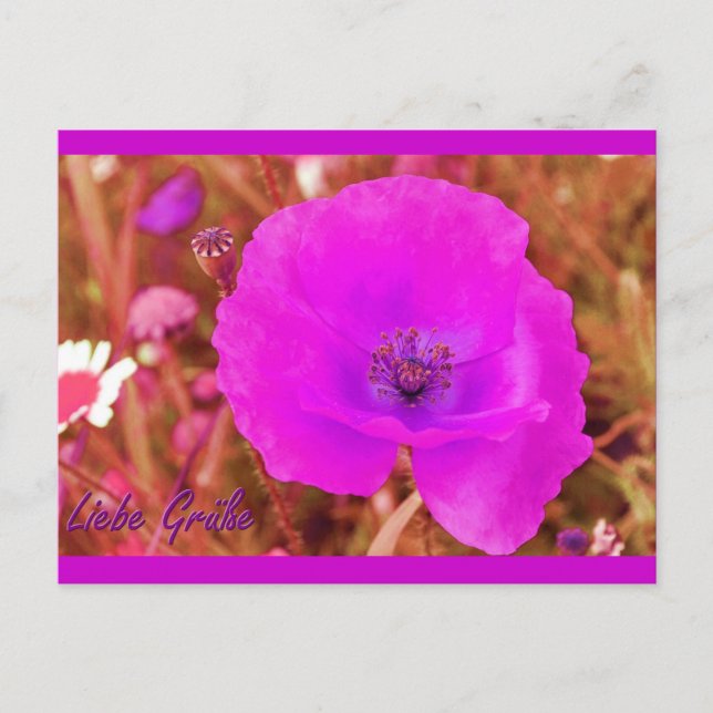 Postkarte Postcard (Front)