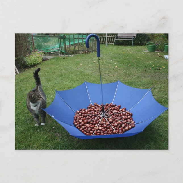 Postkarte - wer bist du denn? postcard (Front)