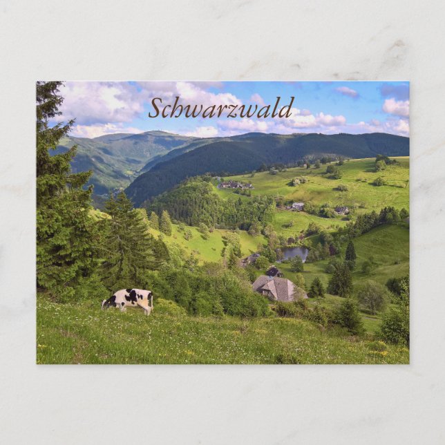 Postkarte: Wiesen und eine Kuh mit Panoramaansicht Postcard (Front)