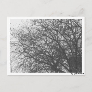 Postkarte - Winterbaum Postcard