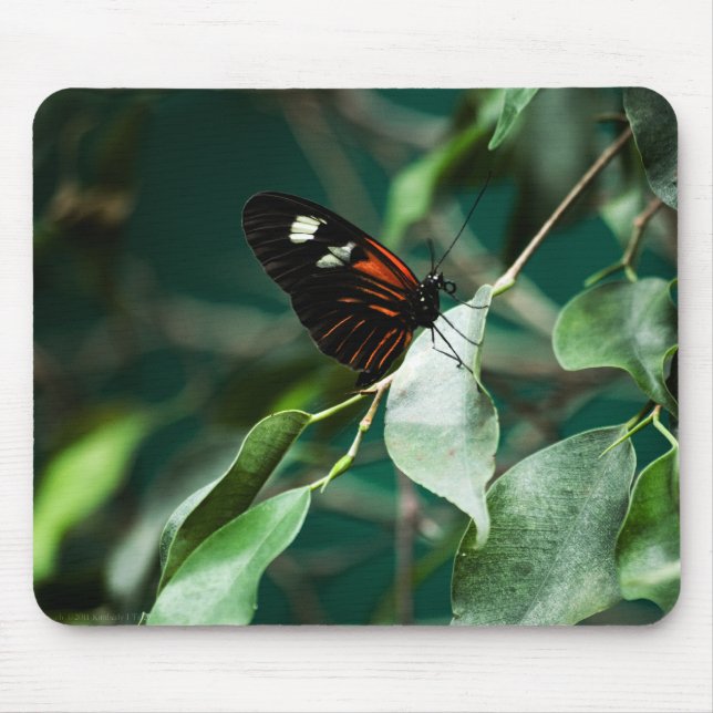 Postman 184 Mousepad (Front)