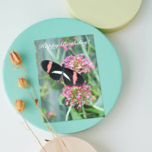 Postman Butterfly on Pink Flowers Nature Birthday Card