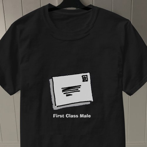 Postman First Class Male T_Shirt