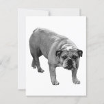 Postmark Bulldog Joy Postcard