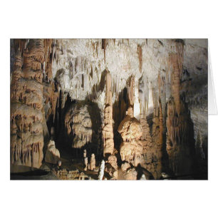 Postojna Caves Cards