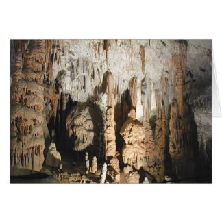 Postojna Caves Cards