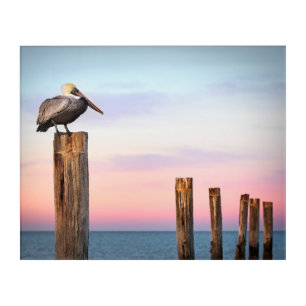 Posts & a Pelican Fort Myers Beach, Florida Acrylic Print