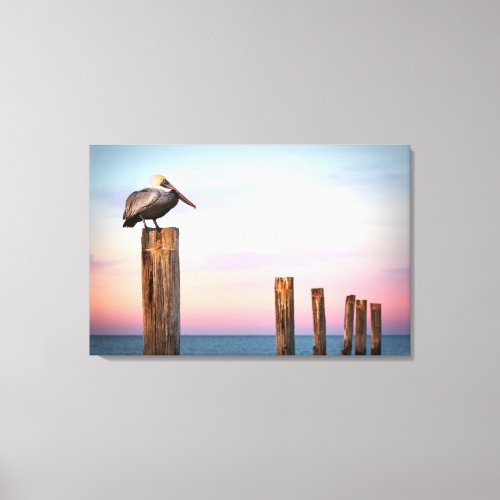 Posts  a Pelican  Fort Myers Beach Florida Canvas Print