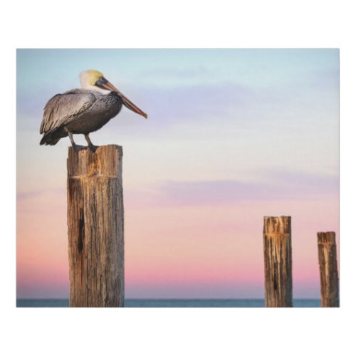 Posts  a Pelican  Fort Myers Beach Florida Faux Canvas Print