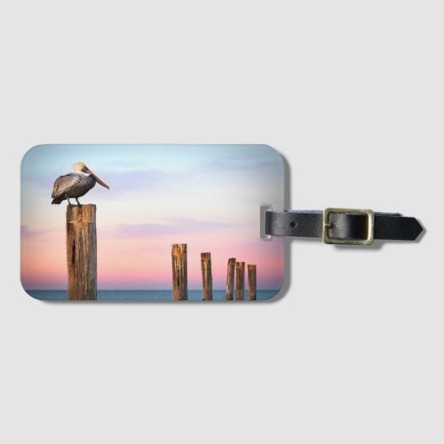 Posts  a Pelican  Fort Myers Beach Florida Luggage Tag