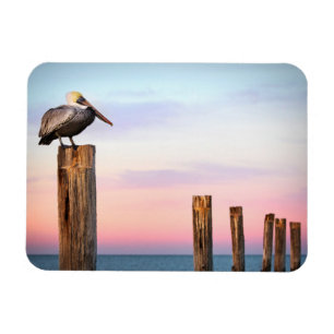 Posts & a Pelican Fort Myers Beach, Florida Magnet