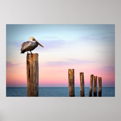 Posts  a Pelican  Fort Myers Beach Florida Poster