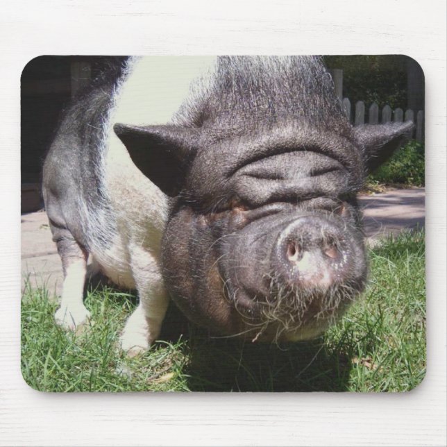Pot-Bellied Pig Mousepad (Front)