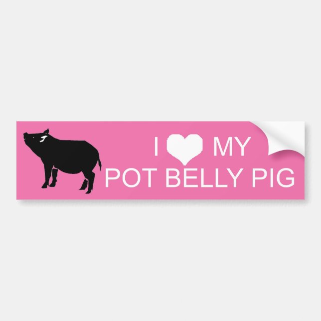 Pot Belly Pig Bumper Sticker (Front)