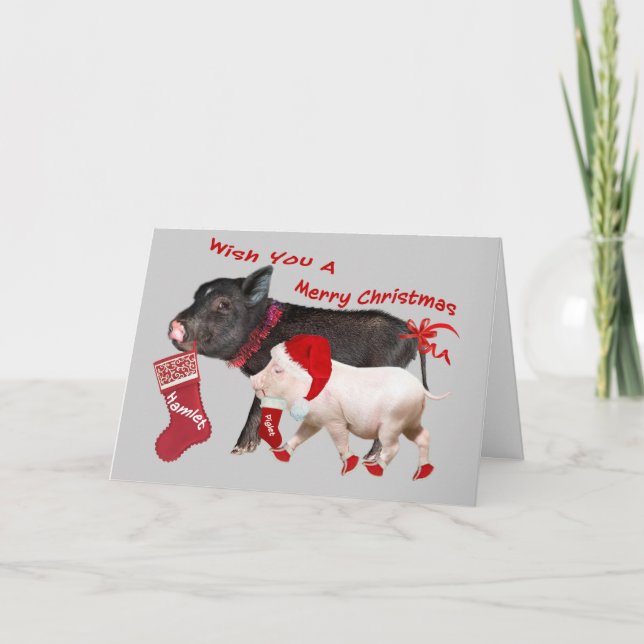 Pot Belly Pig Merry Christmas Holiday Card (Front)
