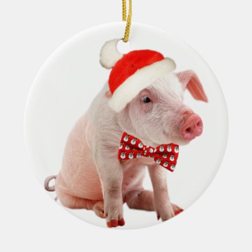 Pot Belly Pigs Christmas Ornament