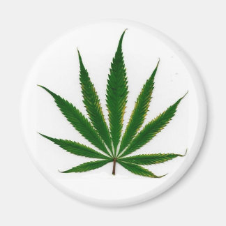 Pot Leaf Magnet
