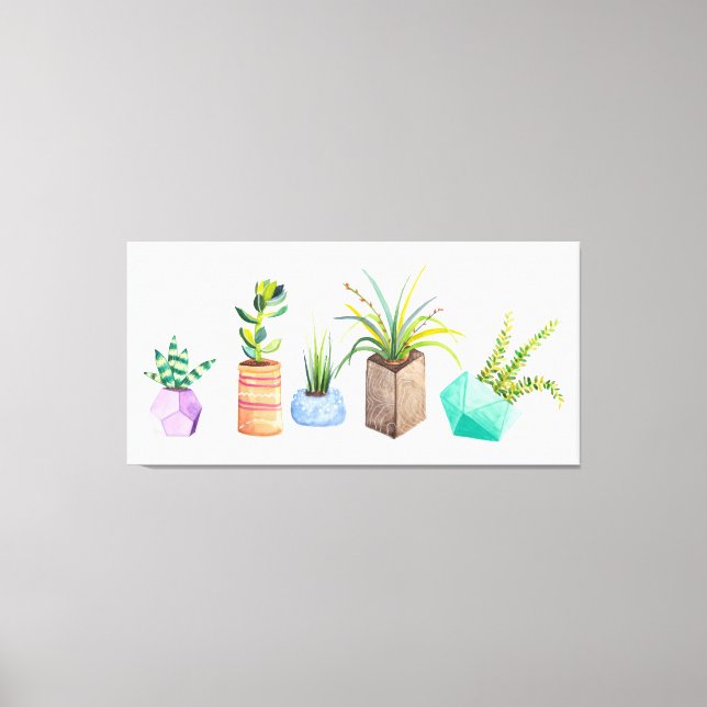 Pot of Succulents Canvas Print (Front)
