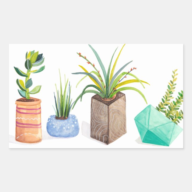 Pot of Succulents Rectangular Sticker (Front)