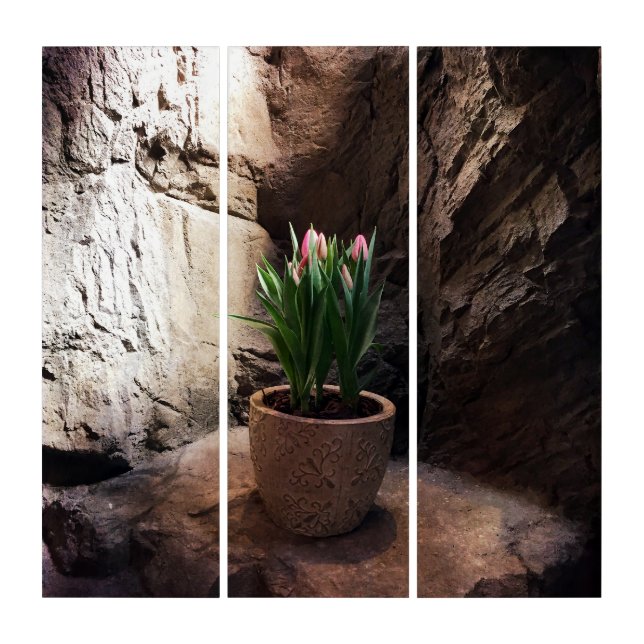Pot of Tulips in a Grotto Triptych (Front)