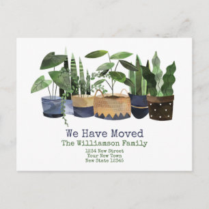 Pot Plant Change of address Moving Announcement Postcard