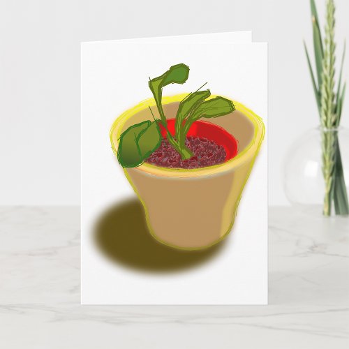 Pot Plant Greeting Cards