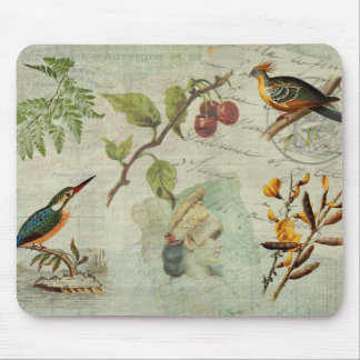 Pot-Pourri Mouse Pad