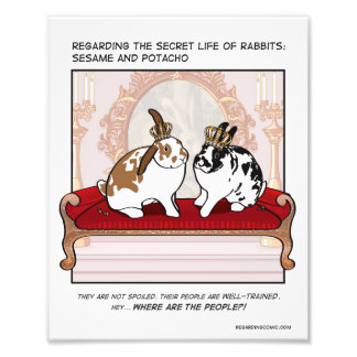 Potacho and Sesame in Luxury Photo Print