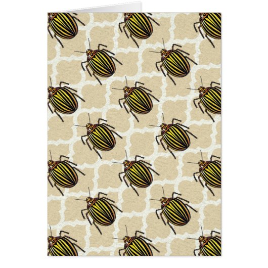 Potato Beetle Pattern Art (Front)