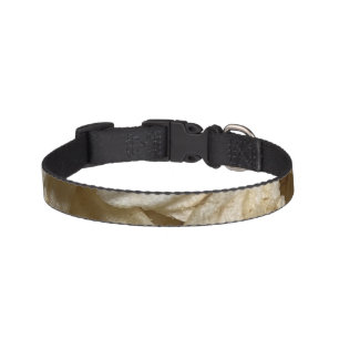 Potato Chips Pet Collar