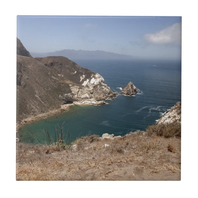 Potato Harbor Tile (Front)