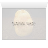 Potato on dirt (Inside Horizontal (Bottom))