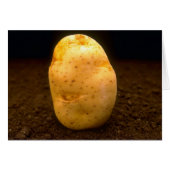 Potato on dirt (Front Horizontal)