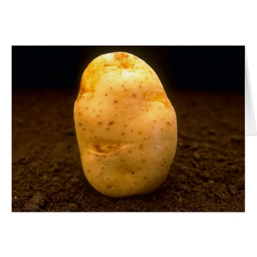Potato on dirt cards (Front Horizontal)