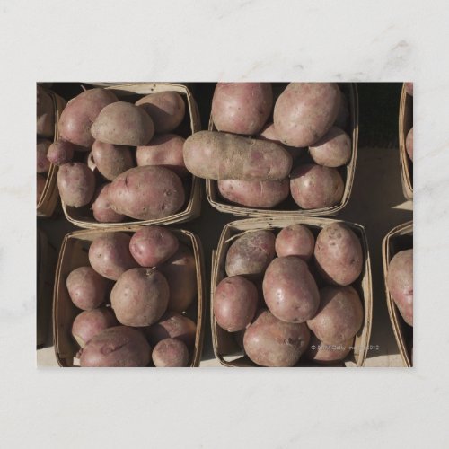 Potatoes at a New Jersey farmers market Postcard