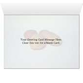 Potatoes on white background cards (Inside Horizontal (Bottom))