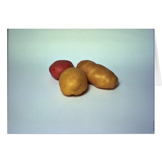Potatoes on white background cards (Front Horizontal)