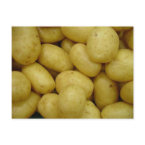 Potatoes postcard