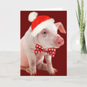 Potbelly Pig Oink Card